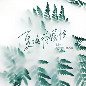 一女多夫好涨四根3H视频
